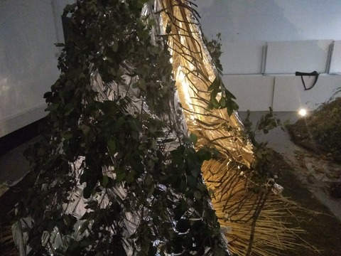 IMG20181005170910