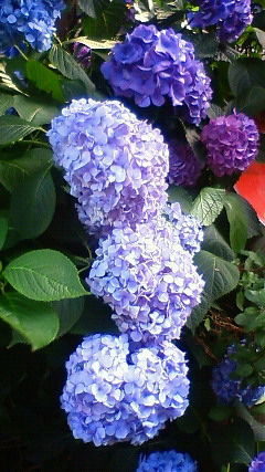201106231554001