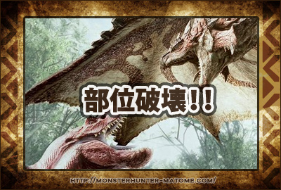 部位破壊 モンスターハンターワールド