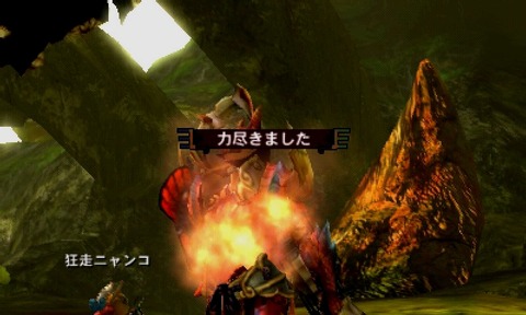 死んだ・・・