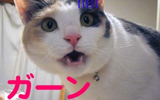gseg