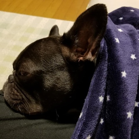 IMG_20180614_092559_970