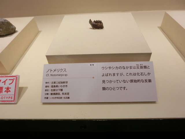 CIMG9735