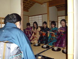 抹茶中