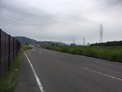 P8130001