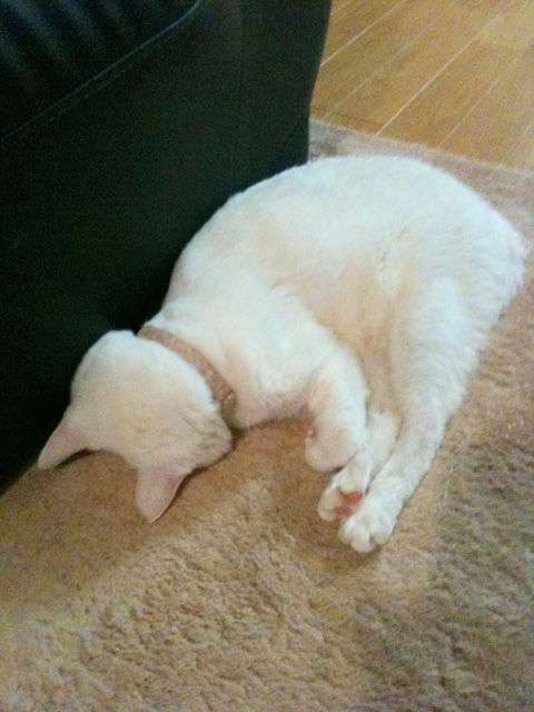 20101228 002