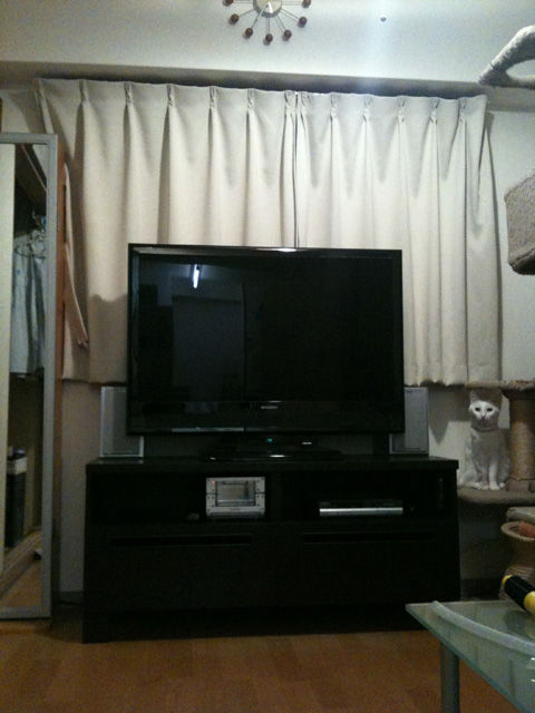 20101228 007