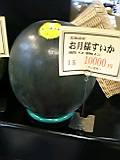 040815MoonSuica.jpg