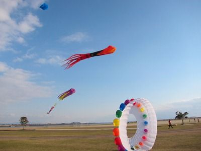 IMG_1293