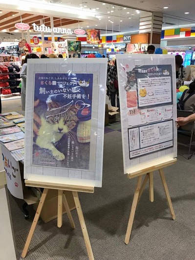 22089277_874196559405465_4913151180636402098_n