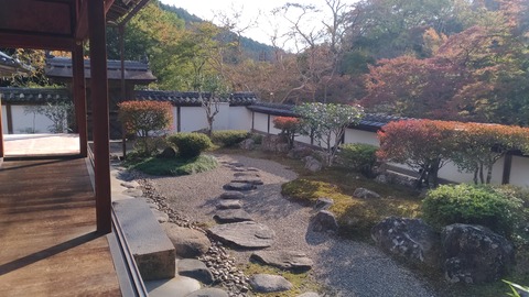 P_20181104_150203_vHDR_On