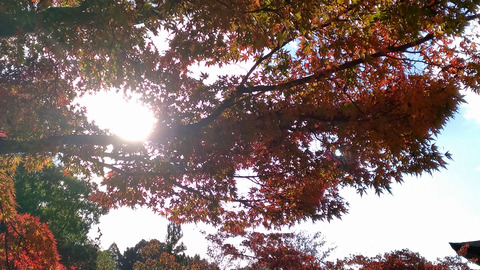P_20171119_150748_vHDR_On