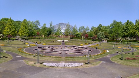 P_20170504_110230_vHDR_Auto