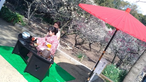 P_20190224_115326_vHDR_On