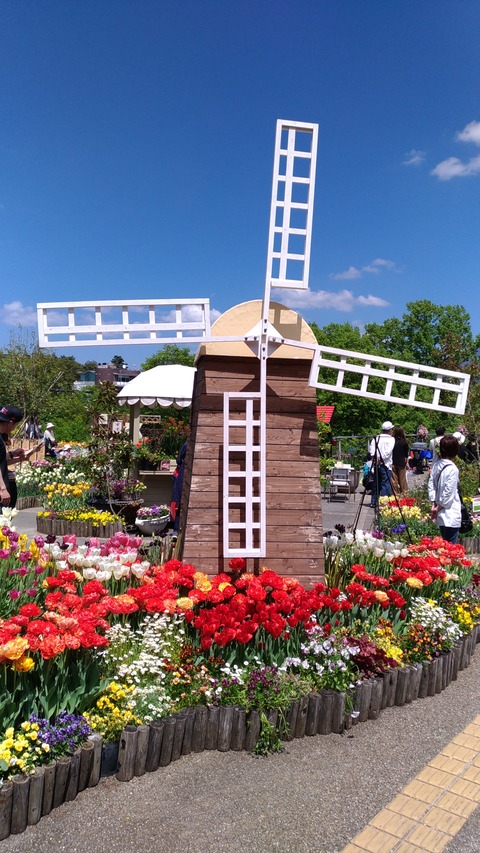 P_20170504_131107_vHDR_Auto