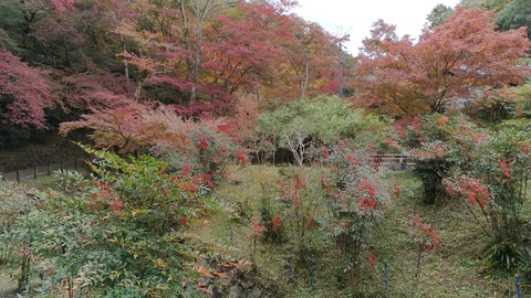 P_20171119_130551_vHDR_On