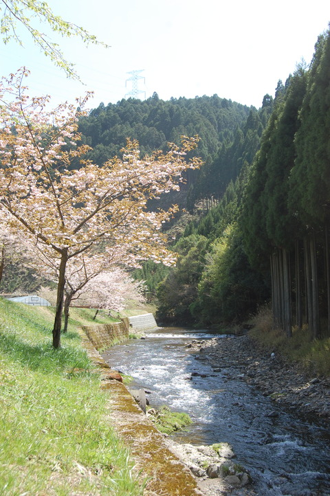 DSC_0065 (4)