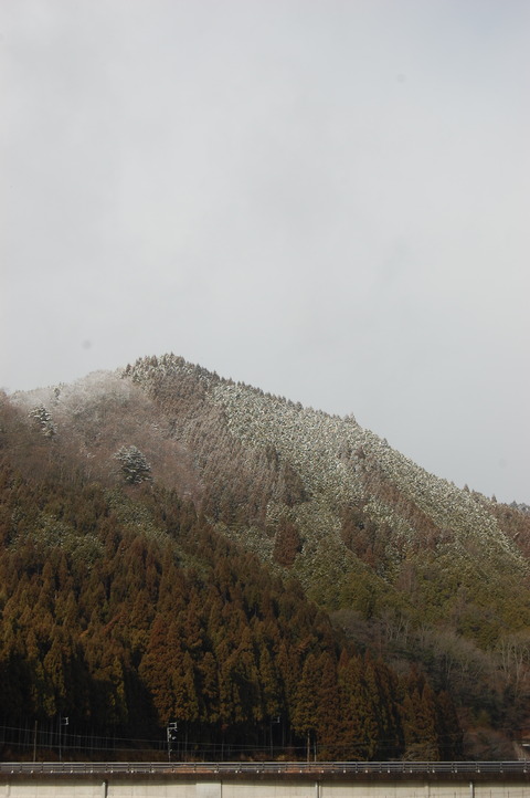 DSC_0307