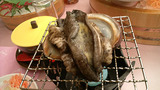 20110113h
