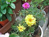 aba96800.jpg