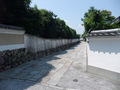 41c1d087.jpg