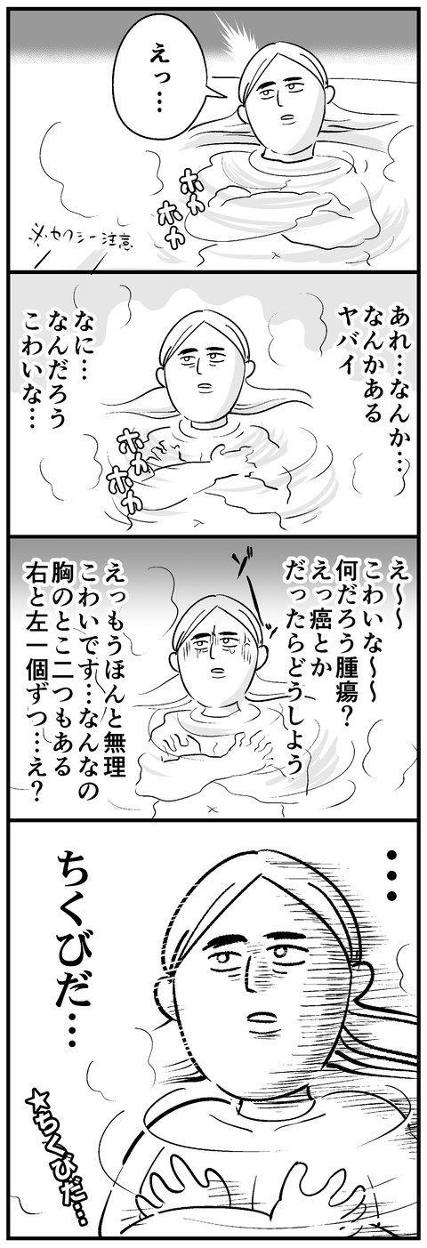乳首だmini