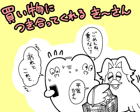 買い物き~さん