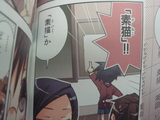 GA_tomokane_baka1