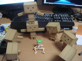 danbo-_seizoroi