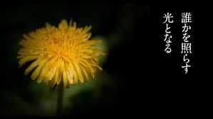 花は咲く5.