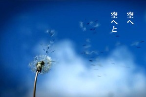 花は咲く9.