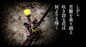 花は咲く8.