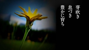 花は咲く4.