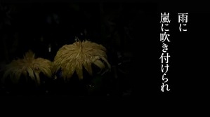 花は咲く6.