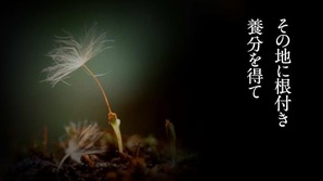 花は咲く3.