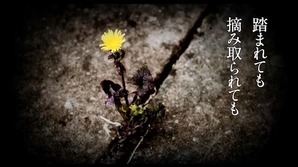 花は咲く2.