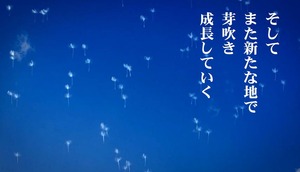 花は咲く10.