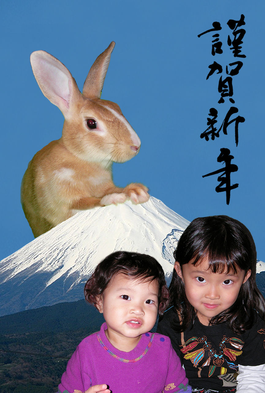 ǯ²ì¾õ2011
