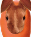 ÆÆÉ±