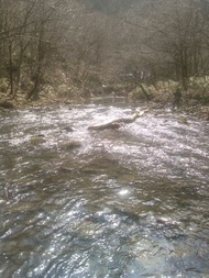 20160403_2