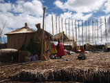 222d7d66.JPG