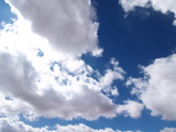 4674f91f.JPG