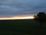 5f940a41.JPG