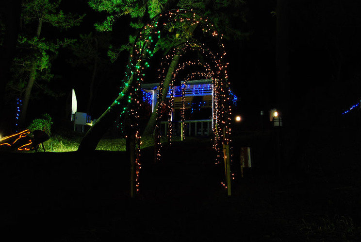 DSC_0008-1