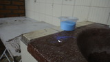 DSC02321