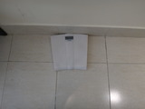 DSC00239