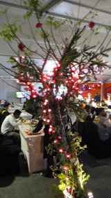 DSC00535