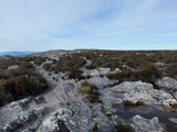 P7070578
