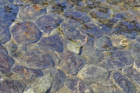 キレイ石