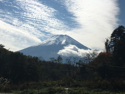 富士